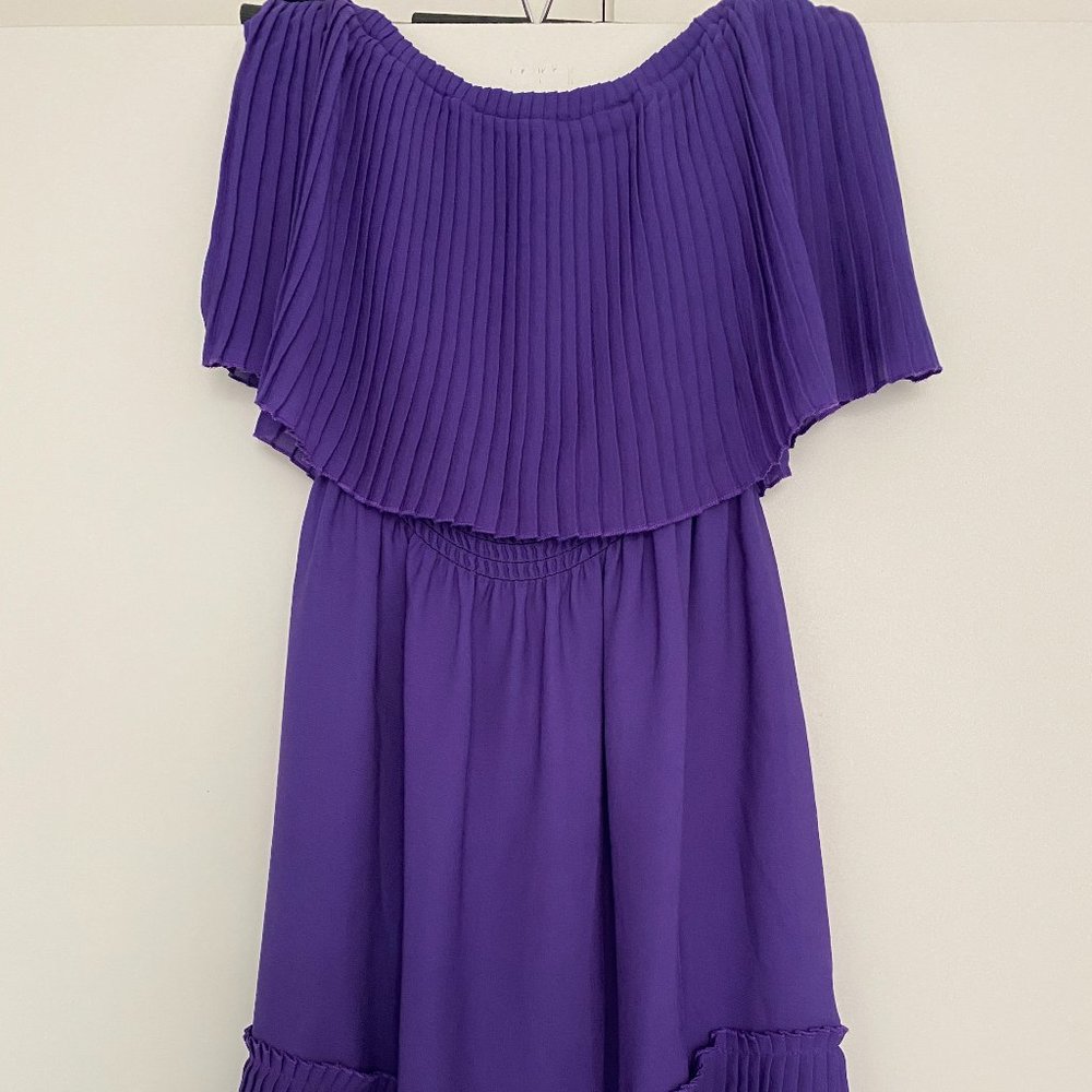 Strapless Pleated Ruffle Parker Dress